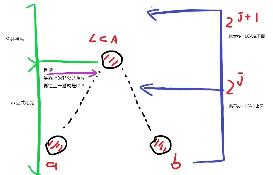 示意圖